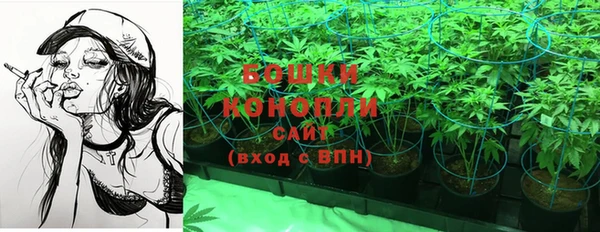 ПСИЛОЦИБИНОВЫЕ ГРИБЫ Краснотурьинск