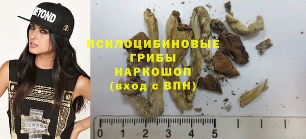 спайс Кодинск