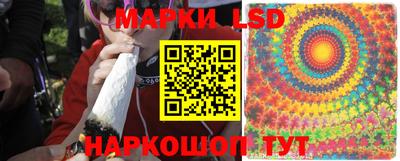 спиды Канаш