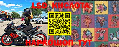 спиды Канаш
