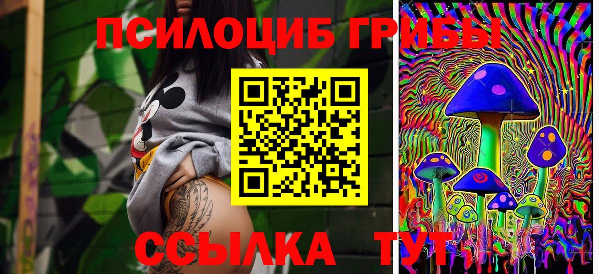 Галлюциногенные грибы Psilocybe  Вход с VPN  Кунгур 