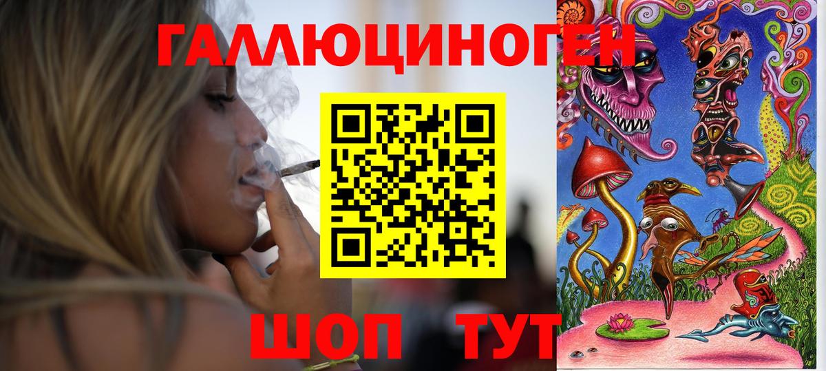 Псилоцибиновые грибы Cubensis Кунгур